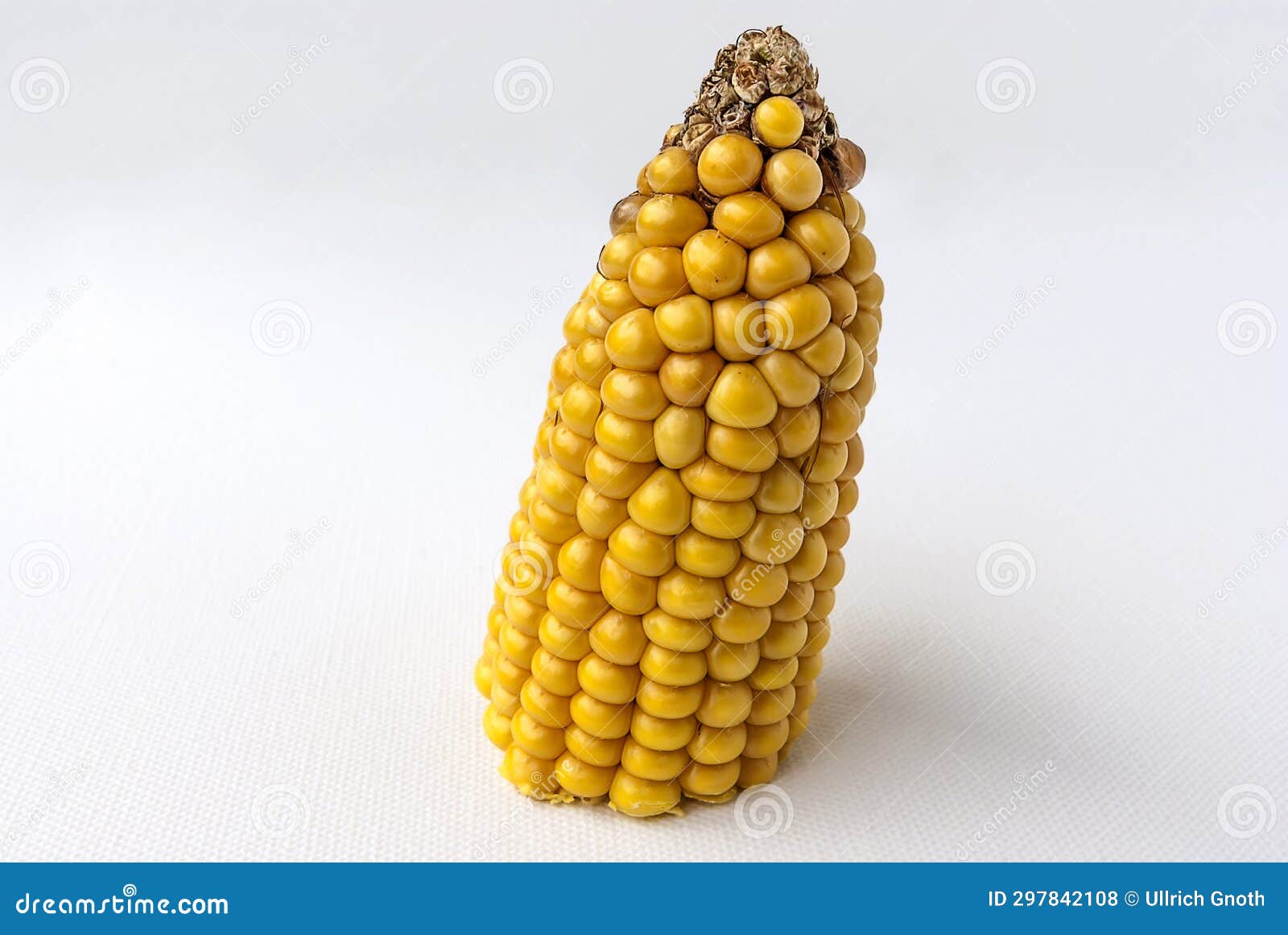 single corncob
